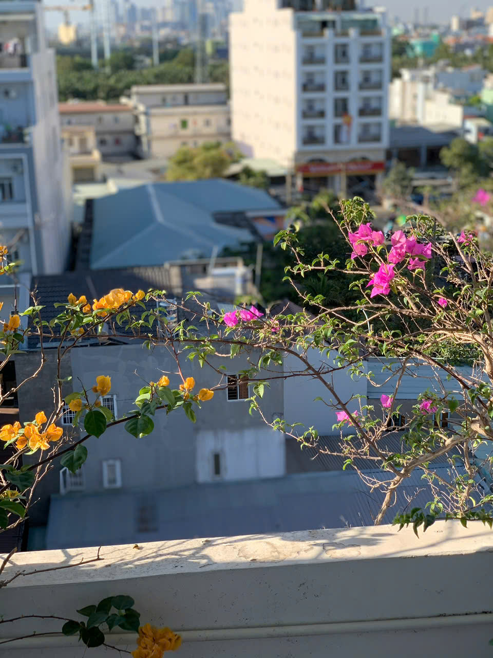 Studio with window_ 602 & 409